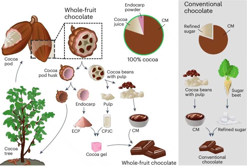Технологи нашли способ сделать шоколад полезнее