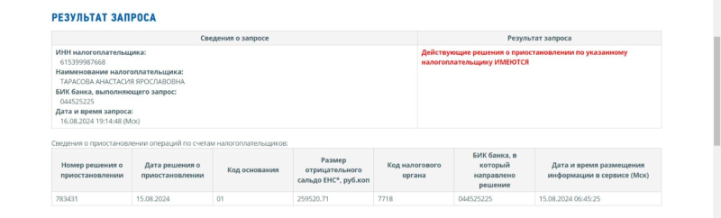 Налоговая заблокировала счета Анастасии Костенко из-за долга в больше миллиона рублей